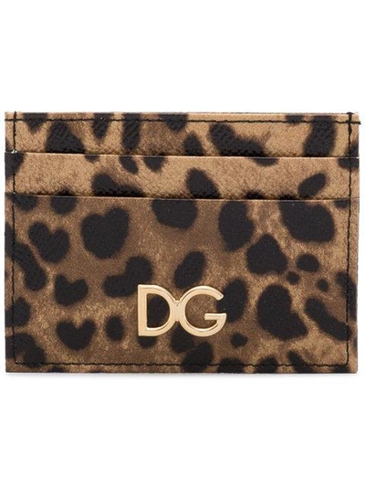 Shop Dolce & Gabbana Leopard Print Cardholder In Brown