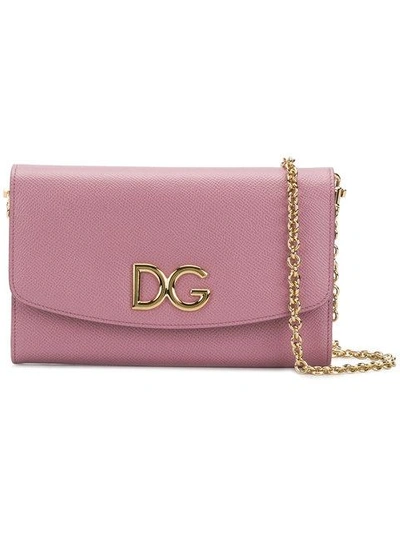 Shop Dolce & Gabbana Wallet On A Chain In Pink