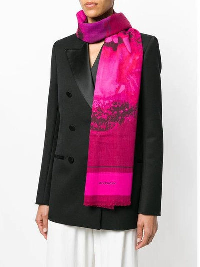 Shop Givenchy Rottweiler Print Scarf In Pink
