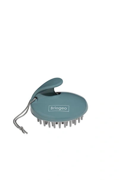 Shop Briogeo Scalp Revival Stimulating Therapy Massager In N,a