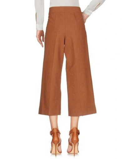 Marni Cropped Pants & Culottes In Brown
