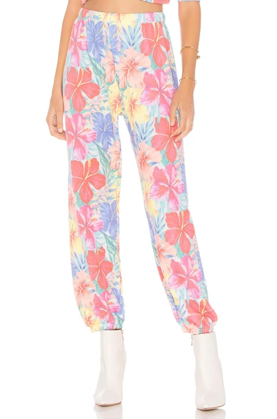 Shop Wildfox Tropicalia Easy Sweats Pant In Pink