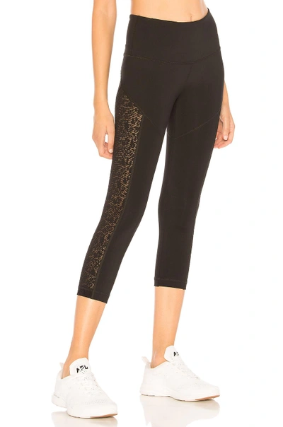 Shop Vimmia Attitude Capri In Black