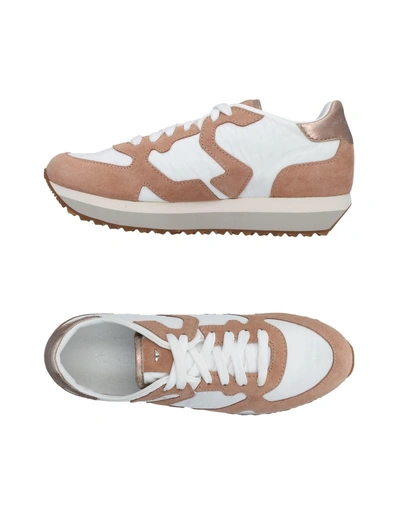 Shop Alberto Guardiani Trainers In Pale Pink