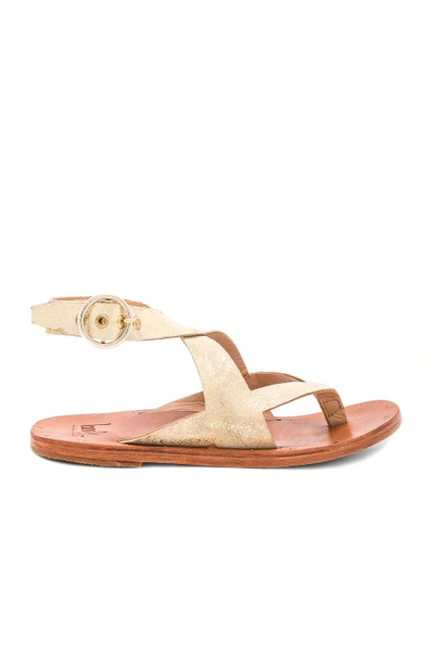 Shop Beek Skimmer Sandal In Gold