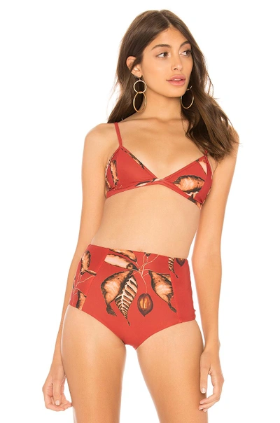 Shop Haight Hotpants Bikini Top In Red