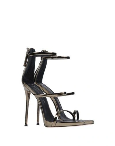 Shop Giuseppe Zanotti In Bronze