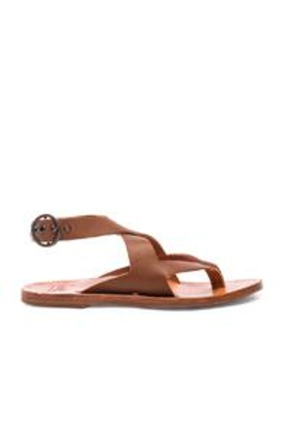 Shop Beek Skimmer Sandal In Brown
