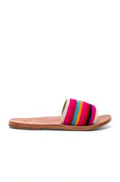 Shop Beek Lovebird Sandal In Multi & Tan