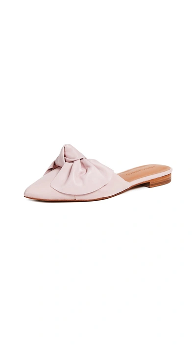 Shop Rebecca Minkoff Alexis Bow Point Toe Flats In Pink