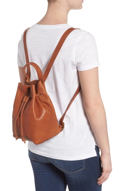 Shop Madewell Mini Somerset Leather Backpack - Brown In English Saddle