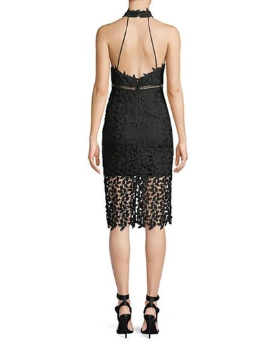 Shop Bardot Gemma Sleeveless Halter Lace-guipure Cocktail Dress In Black