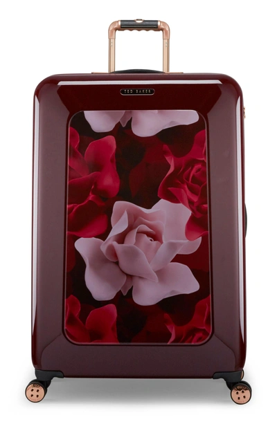 Shop Ted Baker Large Porcelain Rose 31-inch Hard Shell Spinner Suitcase - Burgundy