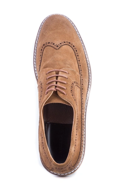 Shop Zanzara Modigliani Wingtip Derby In Cognac Suede