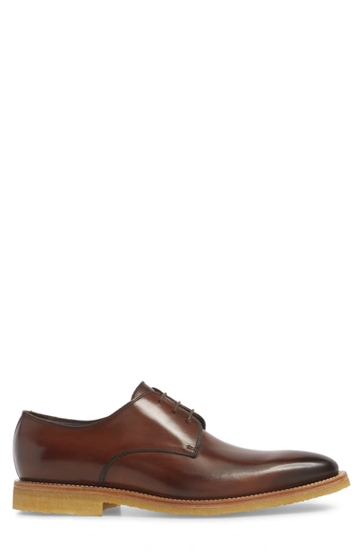 Shop To Boot New York Caruso Plain Toe Derby In Chestnut Leather