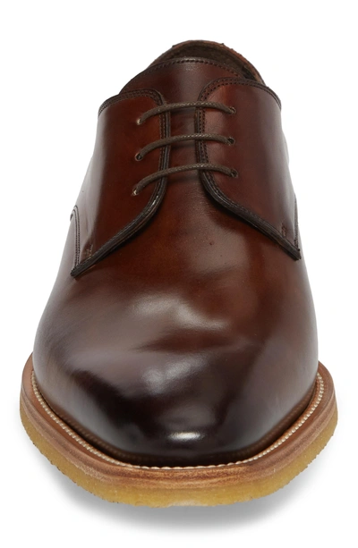 Shop To Boot New York Caruso Plain Toe Derby In Chestnut Leather