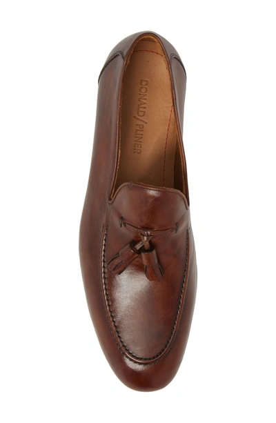 Shop Donald Pliner Ario Tassel Loafer In Brown Leather