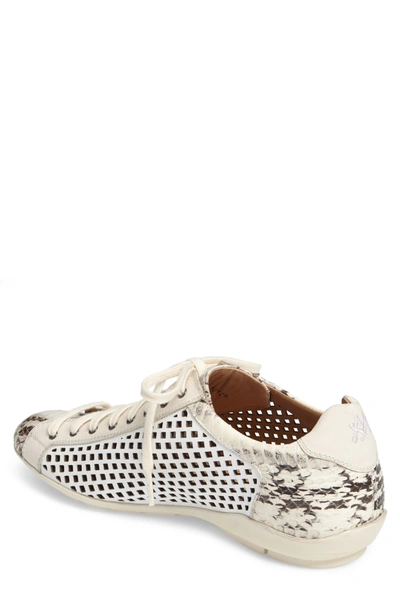 Shop Mezlan Scharf Sneaker In Bone