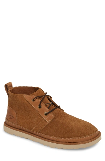 Shop Ugg Neumel Unlined Chukka Boot In Chestnut Leather