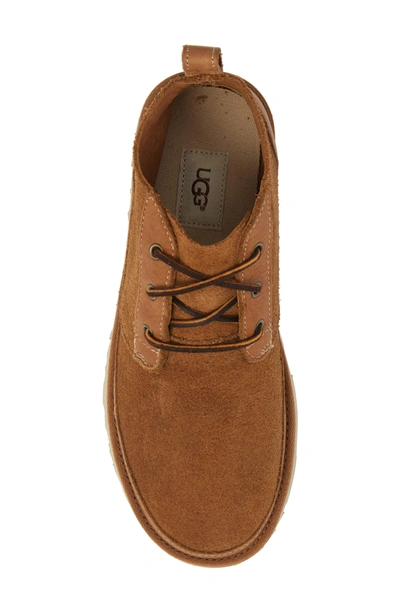Shop Ugg Neumel Unlined Chukka Boot In Chestnut Leather