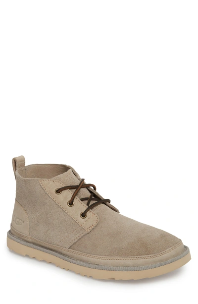 Shop Ugg Neumel Unlined Chukka Boot In Pumice Leather
