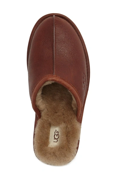 Shop Ugg Scuff Slipper In Cognac Leather