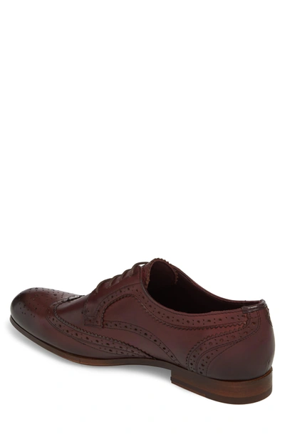 Shop Ted Baker Granet Wingtip In Dark Red Leather