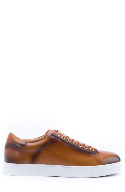 Shop Zanzara Music Low Top Sneaker In Cognac Leather
