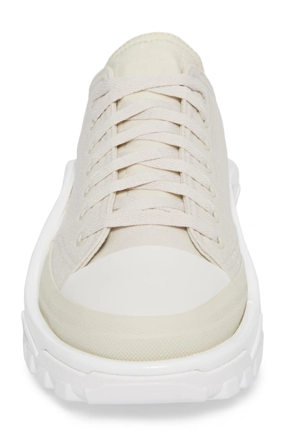 Shop Adidas Originals Detroit Low Top Sneaker In Beige/ White