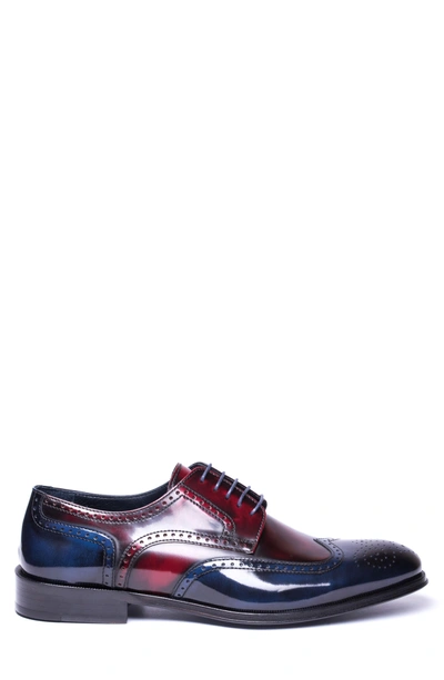 Shop Jared Lang Bryce Wingtip Derby In Red/ Blue Leather