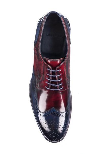 Shop Jared Lang Bryce Wingtip Derby In Red/ Blue Leather