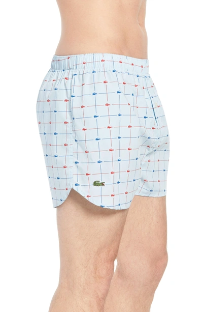 Shop Lacoste Cotton Boxers In Omphalodes