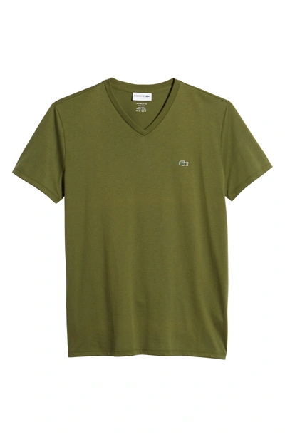 Shop Lacoste V-neck Cotton T-shirt In Boscage