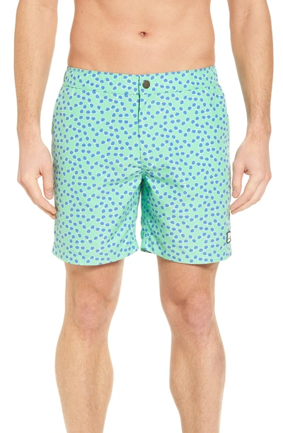 Shop Tom & Teddy Sunglasses Print Swim Trunks In Spring Green