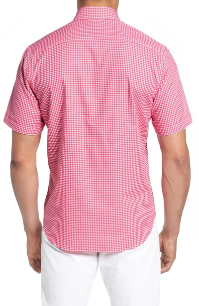 Shop Tailorbyrd Aden Regular Fit Sport Shirt In Coral