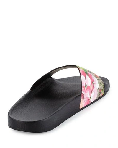 Shop Gucci Gg Blooms Supreme Slide Sandal In Multi