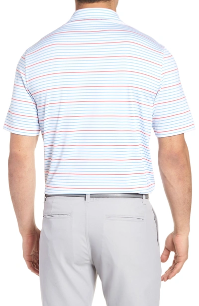 Shop Vineyard Vines Swindell Stretch Stripe Polo In White Cap