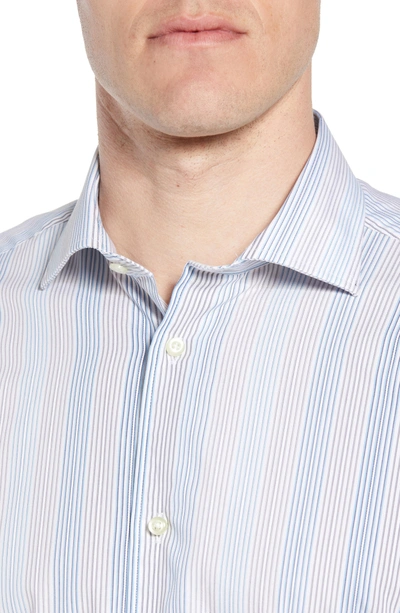 Shop Thomas Dean Regular Fit Stripe Sport Shirt In Blue