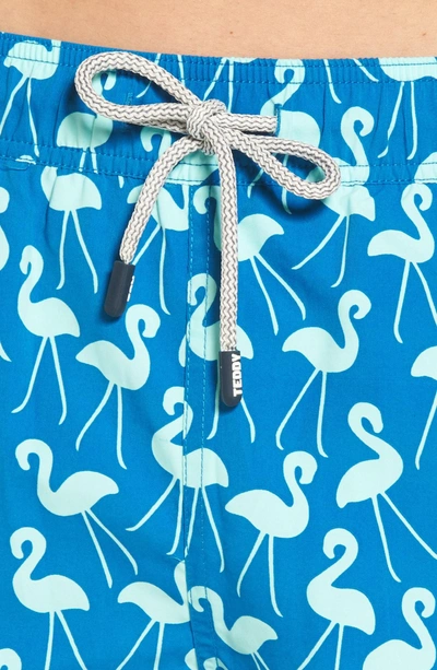 Shop Tom & Teddy Flamingo Print Swim Trunks In Sky Blue