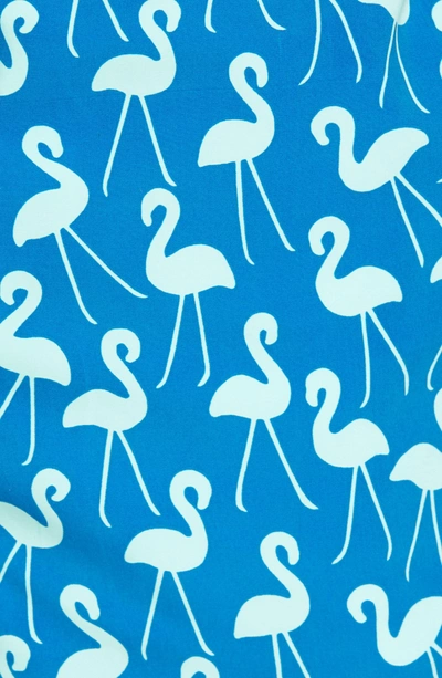 Shop Tom & Teddy Flamingo Print Swim Trunks In Sky Blue