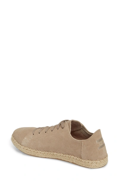 Shop Toms Lena Espadrille Sneaker In Desert Taupe Suede