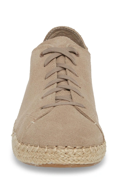 Shop Toms Lena Espadrille Sneaker In Desert Taupe Suede