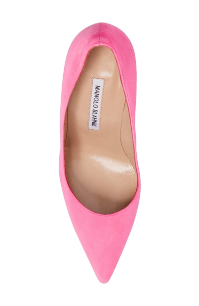 Shop Manolo Blahnik 'bb' Pointy Toe Pump In Neon Pink