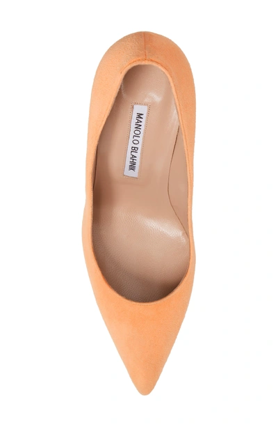 Shop Manolo Blahnik 'bb' Pointy Toe Pump In Neon Orange