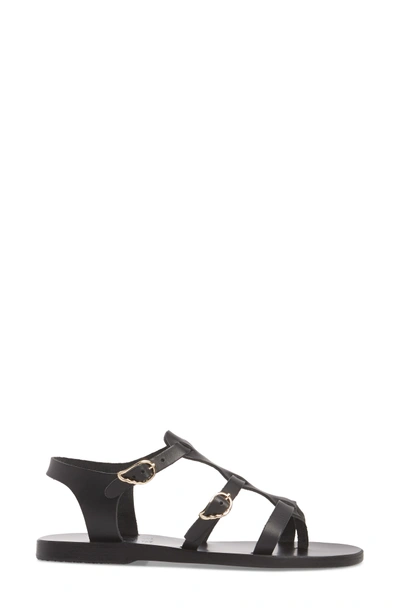 Shop Ancient Greek Sandals T-strap Sandal In Black