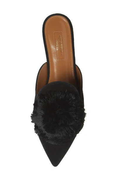 Shop Aquazzura Powder Puff Mule In Black