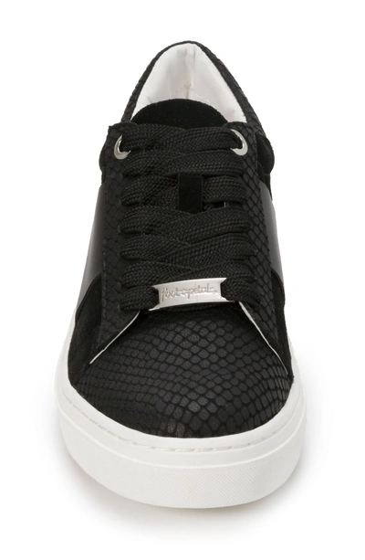 Shop Foot Petals Fallon Sneaker In Black Suede