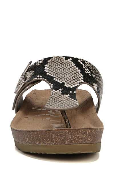 Sam Edelman Olga Sandal In Natural Snake Print Leather ModeSens