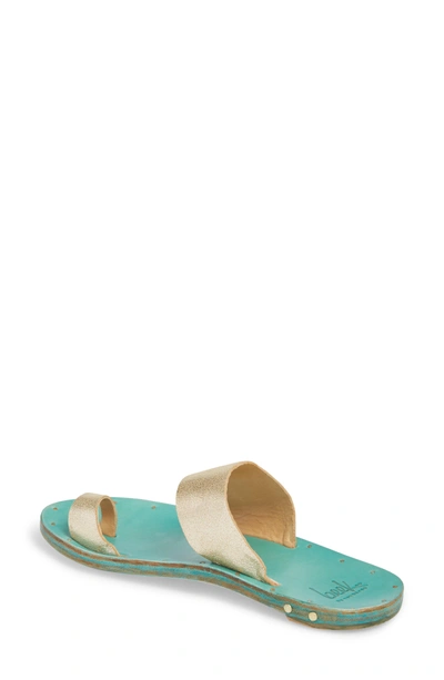Shop Beek Finch Sandal In Turquoise