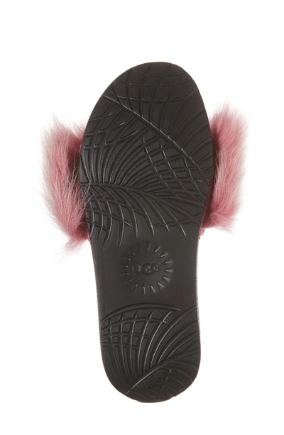 Shop Ugg Royale Genuine Shearling Slide Sandal In Bramble Berry